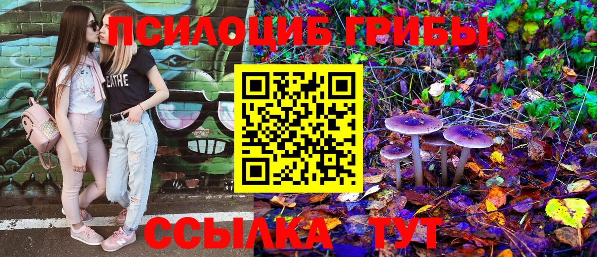 Галлюциногенные грибы мицелий  Вход с VPN  Псилоцибиновые грибы Psilocybe  Спасск-Дальний 